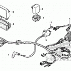 TRX250TE Wire harness (trx250te)