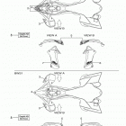 YFZ450R YFZ45RDL/YFZ45RDW Наклейки