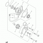 GRIZZLY 450 EPS 4WD HUNTER YFM45FGPHD Водяной насос