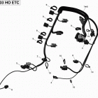 RXT iS 260 (1503 HO ETC) Жгут проводов двигателя