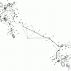 Maverick MAX 1000, STD, XRS, XRS-DPS Тормоза