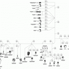 Commander STD, XT, X, 1000 EFI Жгут проводов