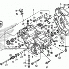 TRX420FA2 Front crankcase cover    (1)