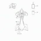 YFZ450R YFZ45YSXGL Наклейки 1