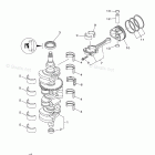 F150TLR Crankshaft Piston