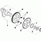 DS 250 balance shaft