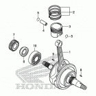 CRF150F Коленчатый вал и поршни