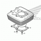 TRX250TE Цилиндры