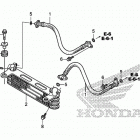 TRX250TE Масляный картер