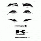 Brute Force 300 (KVF300-CFF) Decals(black)(cff)