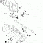 5.0L MPI ALPHA/BRAVO 1A623185 & Up Exhaust manifold and elbow