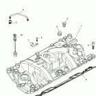 5.0L CARB ALPHA/BRAVO 0W650000 & Up Впускной коллектор