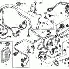 TRX420FPE Жгут проводов