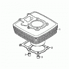TRX250X Цилиндр