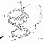 TRX450R Цилиндр
