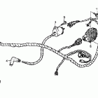 TRX250TM Wire harness (trx250tm)