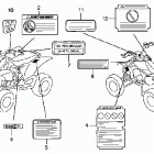 TRX450R Наклейки