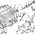 TRX250TE Front crankcase cover    (trx250te)