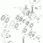 Rave Cross 800 HO 01- Crankshaft Assy