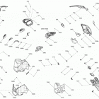 MXZ - 2-STROKE - 600 CARB_600HO E-TEC_800R E-TEC 09- hood - package xrs