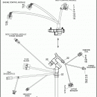 FXDF 103 1GYM DYNA FAT BOB (2016) WIRING HARNESS, MAIN, NON-ABS (4 OF 7)