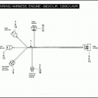 XL883C 4CP2 SPORTSTER 883 CUSTOM (2008) WIRING HARNESS, ENGINE - 883 / C / L / R, 1200C / L / N ...