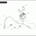 FLHTPI 1FMW ELECTRA GLIDE STANDARD POLICE (2006) Катушка зажигания