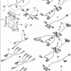 DF 250APX Opt:Harness (1)