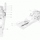 SUMMIT 600HO E-TEC 09- decals summit 600ho e-tec - package sport