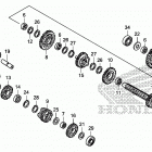 TRX250X Трансмиссия