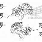 TRX500FM2 Mark@emblem