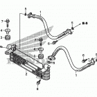 TRX250X Масляный картер