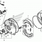 TRX250X Rear brake drum