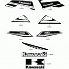 BRUTE FORCE 300 Decals(black)(chf)