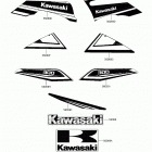 BRUTE FORCE 300 Decals(green)(chf)