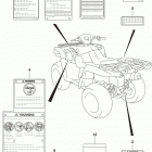 LT,A750,XP Label (lt-a750xpl8 p03)