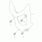 YFZ50 (YFZ05YYXJL) Дуги безопасности