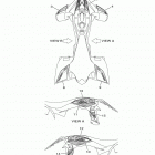 YFZ450R SPECIAL EDIT (YFZ45YSSKW) Наклейки
