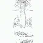 RAPTOR 700R SE (YFM70RSSJW) Наклейки