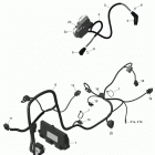 Commander 800R EFI 10- engine harness and electronic module - 800r efi