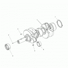 R18RTED1F1/SD1C1 RANGER 1000 DIESEL POLAND Engine, crankshaft - r18rted1f1  /  sd1c1 (49rgrcranksha...