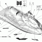 001 - RXP 300 Наклейки