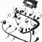 1- RXT 230 Жгут проводов и электрический блок