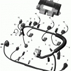 RXP 300 Жгут проводов и электрический блок