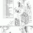 F250NCA 0117 Цилиндр и картер 1