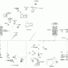 RT 10- electrical harness - frame se6