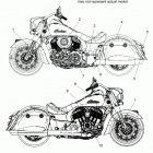 N19THDAA - SPRINGFIELD DARK HORSE ALL OPTIONS Body, emblems and decals - n19thdaa  all options (200458...