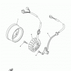 TW200 (TW200L1C/TW200L1) Генератор