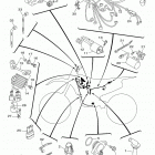 YZ450F (YZ450FHW/YZ450FHL) Электрика 1
