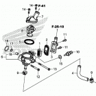CRF450X Thermostat@hose
